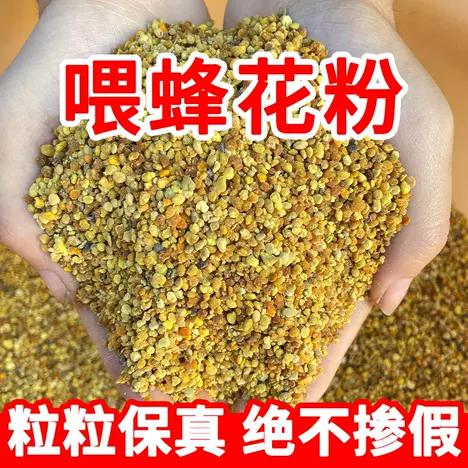 美国国蜂花粉健康养生食品中老年孕妇营养蜂蜜常州港进口报关